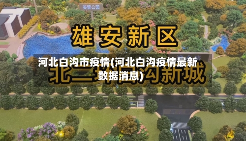河北白沟市疫情(河北白沟疫情最新数据消息)-第2张图片