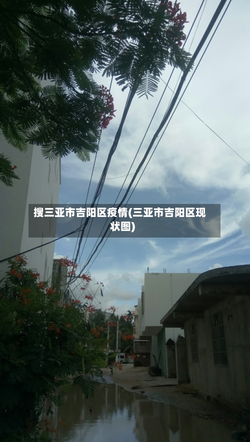 搜三亚市吉阳区疫情(三亚市吉阳区现状图)-第1张图片