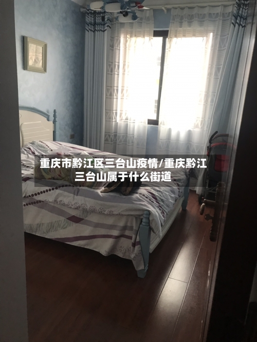 重庆市黔江区三台山疫情/重庆黔江三台山属于什么街道-第1张图片