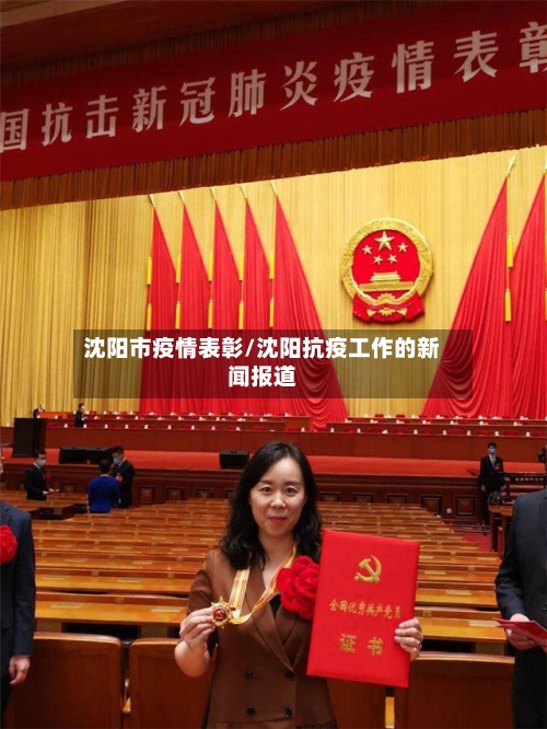 沈阳市疫情表彰/沈阳抗疫工作的新闻报道-第2张图片