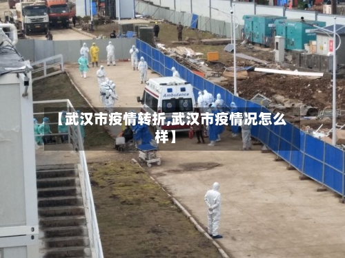 【武汉市疫情转折,武汉市疫情况怎么样】-第2张图片