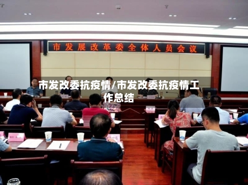 市发改委抗疫情/市发改委抗疫情工作总结-第2张图片