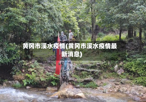 黄冈市溪水疫情(黄冈市溪水疫情最新消息)-第1张图片