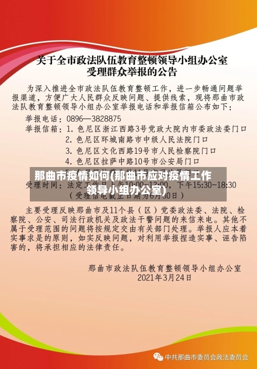 那曲市疫情如何(那曲市应对疫情工作领导小组办公室)-第2张图片