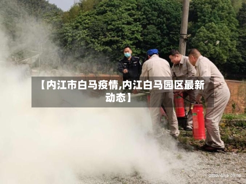 【内江市白马疫情,内江白马园区最新动态】-第3张图片