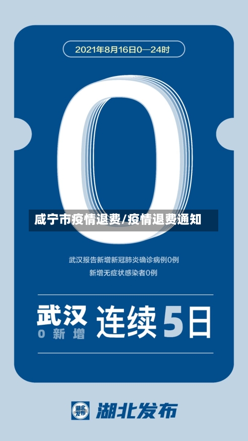 咸宁市疫情退费/疫情退费通知-第3张图片