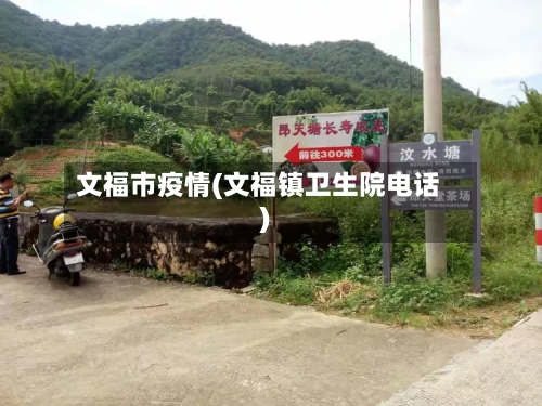 文福市疫情(文福镇卫生院电话)-第2张图片