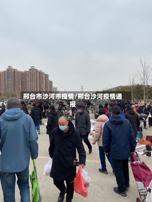 邢台市沙河市疫情/邢台沙河疫情通报-第2张图片