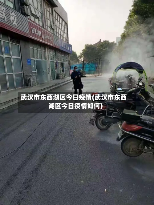 武汉市东西湖区今日疫情(武汉市东西湖区今日疫情如何)-第2张图片