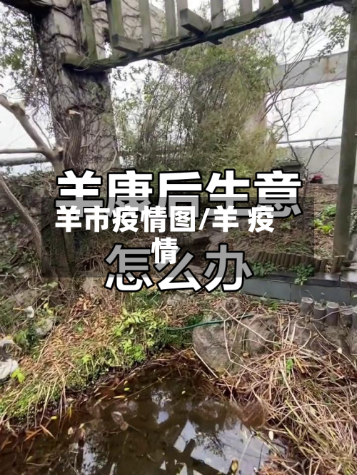 羊市疫情图/羊 疫情-第2张图片