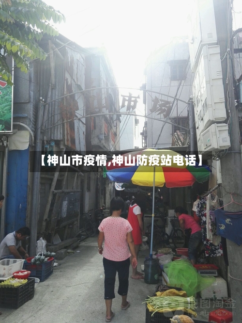 【神山市疫情,神山防疫站电话】-第2张图片