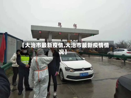 【大治市最新疫情,大治市最新疫情情况】-第2张图片
