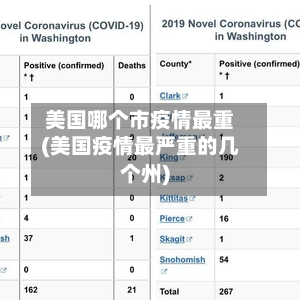 美国哪个市疫情最重(美国疫情最严重的几个州)-第1张图片