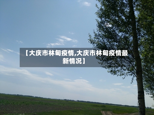 【大庆市林甸疫情,大庆市林甸疫情最新情况】-第3张图片