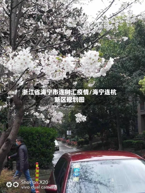 浙江省海宁市连树汇疫情/海宁连杭新区规划图-第3张图片