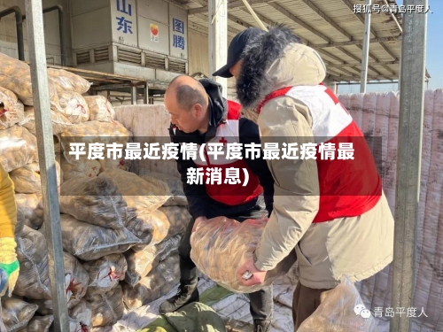 平度市最近疫情(平度市最近疫情最新消息)-第2张图片