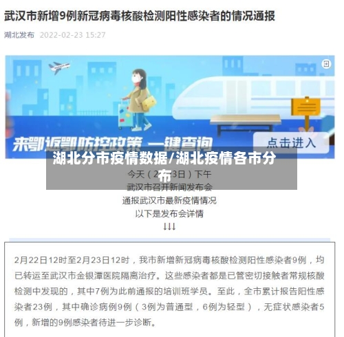 湖北分市疫情数据/湖北疫情各市分布-第3张图片