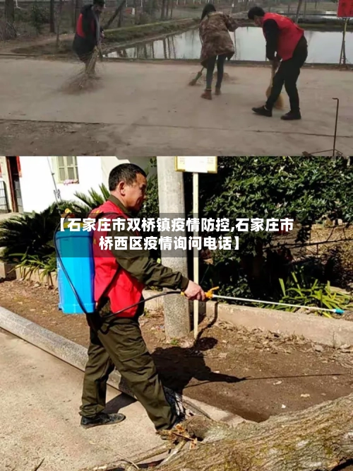 【石家庄市双桥镇疫情防控,石家庄市桥西区疫情询问电话】-第2张图片