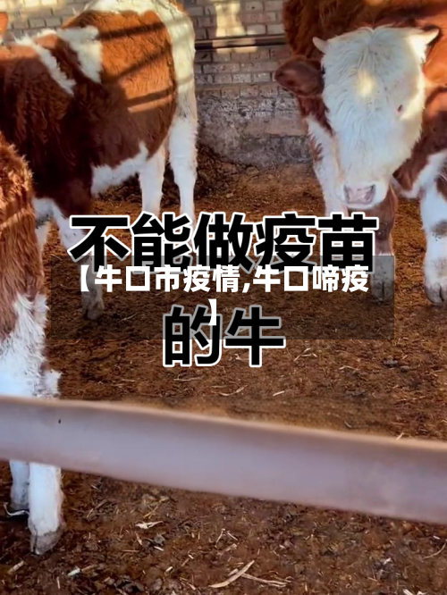 【牛口市疫情,牛口啼疫】-第1张图片