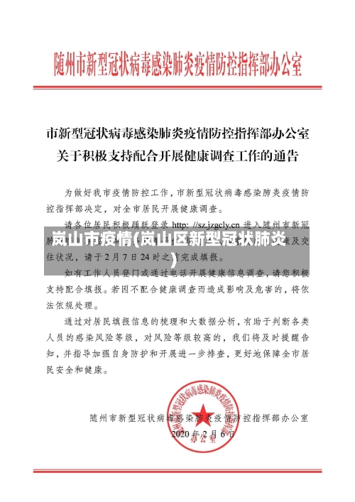 岚山市疫情(岚山区新型冠状肺炎)-第2张图片