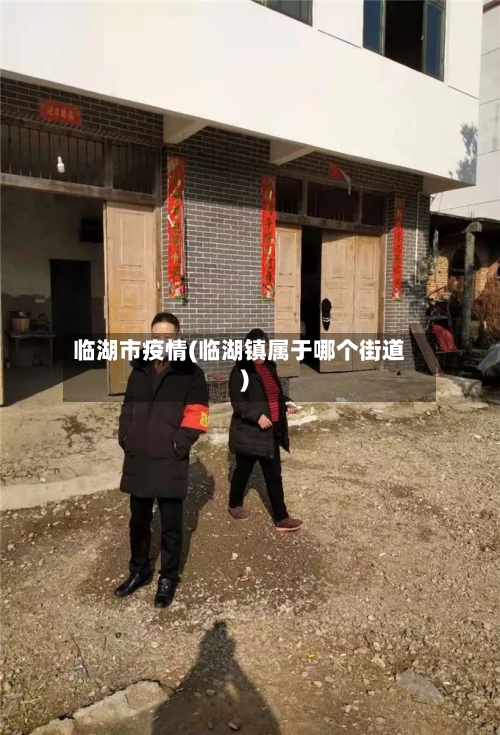 临湖市疫情(临湖镇属于哪个街道)-第2张图片