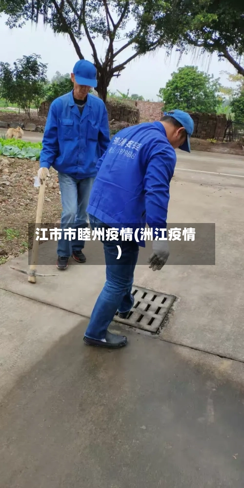 江市市睦州疫情(洲江疫情)-第2张图片