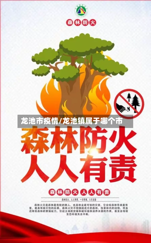 龙池市疫情/龙池镇属于哪个市-第2张图片