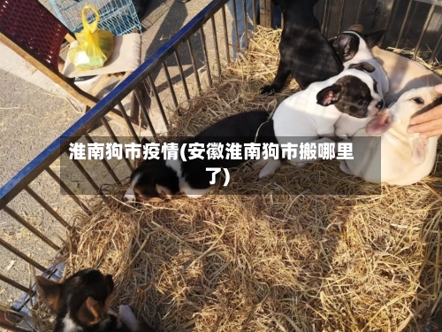 淮南狗市疫情(安徽淮南狗市搬哪里了)-第2张图片