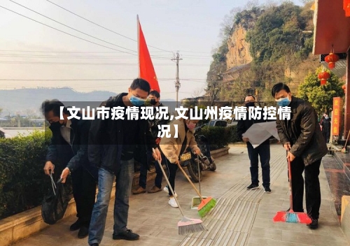 【文山市疫情现况,文山州疫情防控情况】-第2张图片