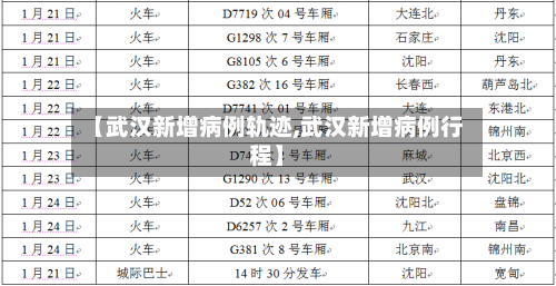 【武汉新增病例轨迹,武汉新增病例行程】-第1张图片