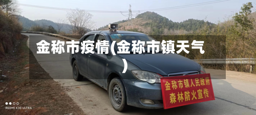 金称市疫情(金称市镇天气)-第1张图片