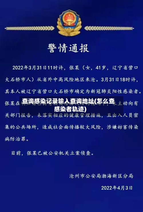 查询感染记录输入查询地址(怎么查感染者轨迹)-第2张图片