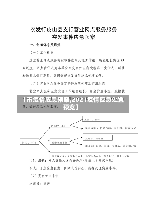【市疫情应急预案,2021疫情应急处置预案】-第1张图片