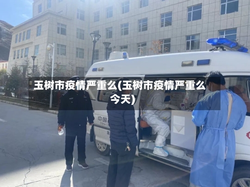 玉树市疫情严重么(玉树市疫情严重么今天)-第1张图片