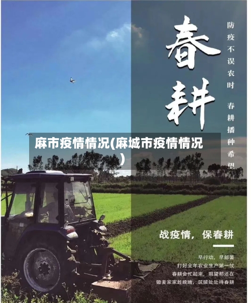 麻市疫情情况(麻城市疫情情况)-第1张图片