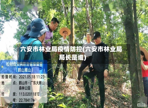 六安市林业局疫情防控(六安市林业局局长是谁)-第2张图片