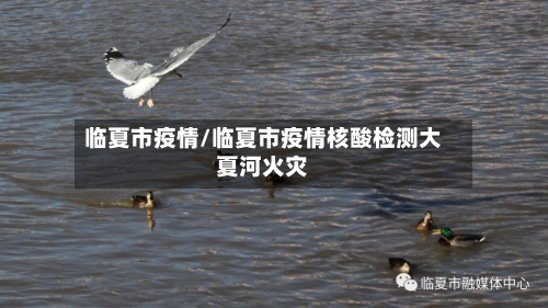 临夏市疫情/临夏市疫情核酸检测大夏河火灾-第2张图片