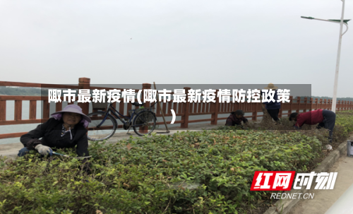 陬市最新疫情(陬市最新疫情防控政策)-第2张图片