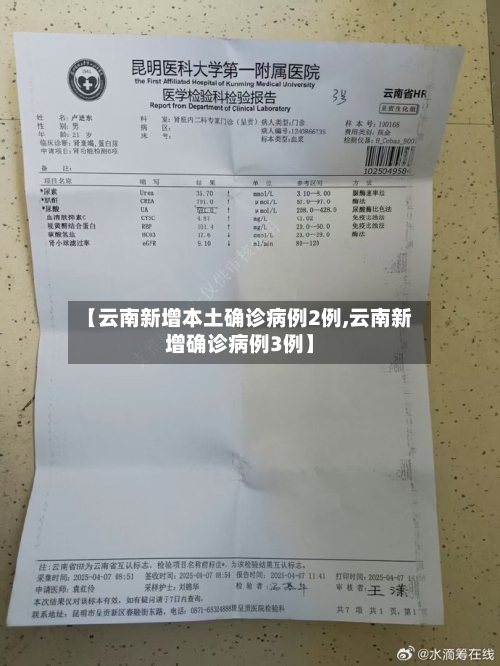 【云南新增本土确诊病例2例,云南新增确诊病例3例】-第1张图片