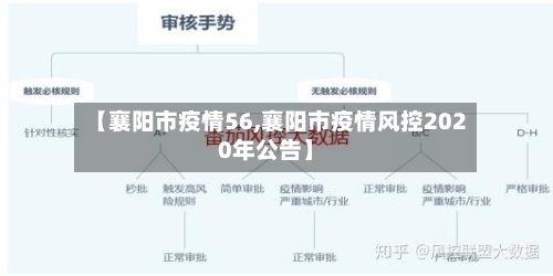 【襄阳市疫情56,襄阳市疫情风控2020年公告】-第3张图片