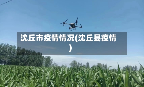 沈丘市疫情情况(沈丘县疫情)-第1张图片