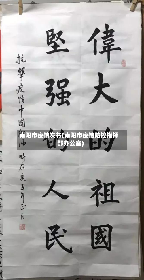 南阳市疫情发书(南阳市疫情防控指挥部办公室)-第2张图片