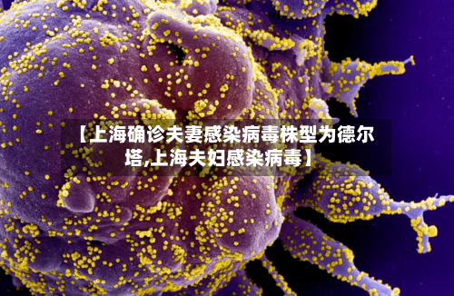 【上海确诊夫妻感染病毒株型为德尔塔,上海夫妇感染病毒】-第3张图片