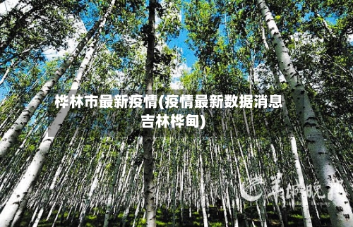 桦林市最新疫情(疫情最新数据消息吉林桦甸)-第2张图片