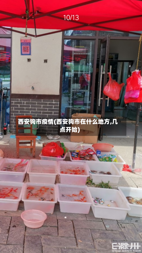 西安狗市疫情(西安狗市在什么地方,几点开始)-第1张图片