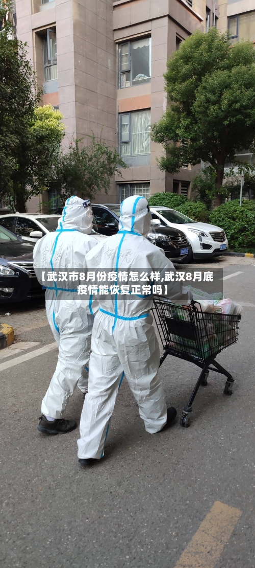 【武汉市8月份疫情怎么样,武汉8月底疫情能恢复正常吗】-第1张图片