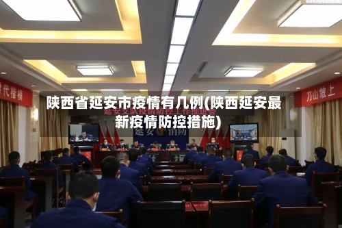 陕西省延安市疫情有几例(陕西延安最新疫情防控措施)-第3张图片
