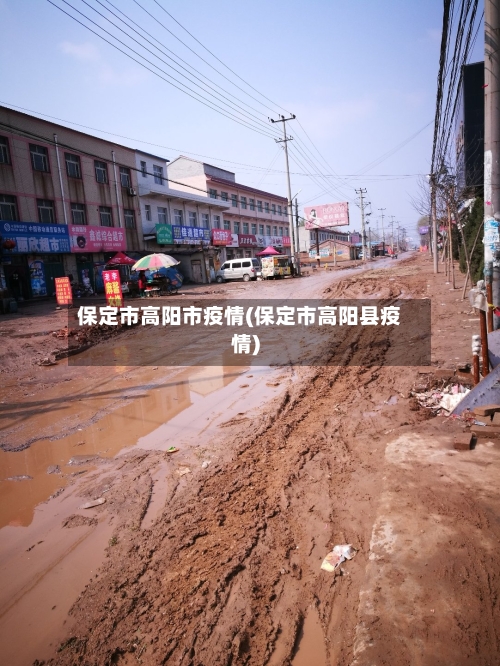 保定市高阳市疫情(保定市高阳县疫情)-第1张图片
