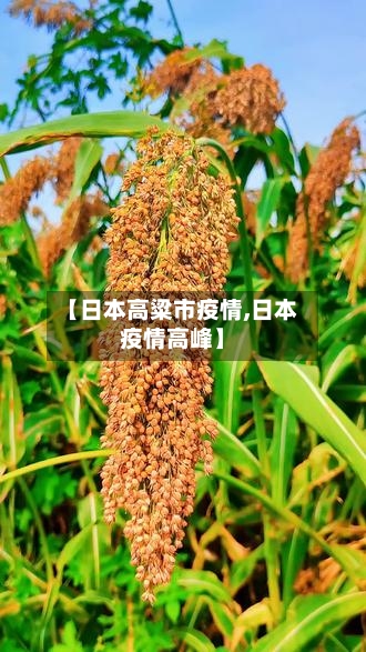 【日本高粱市疫情,日本疫情高峰】-第1张图片