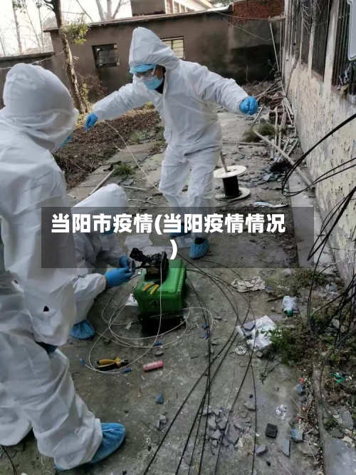 当阳市疫情(当阳疫情情况)-第2张图片